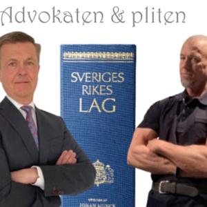 Advokaten och Pliten