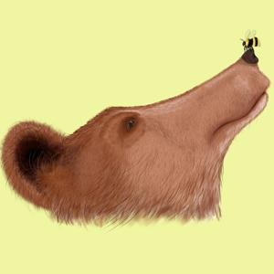 Bear and Bee