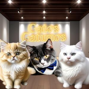 Gaticos Gatunos SHOW