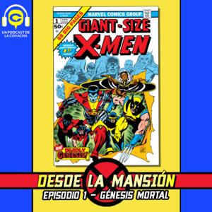 Desde la Mansión-X