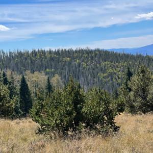 Hills to Ripples