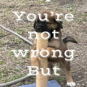 You’re not wrong… But