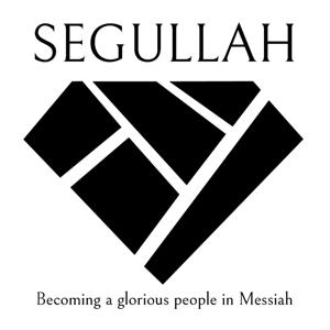 Luke-Acts Series Archives - Segullah