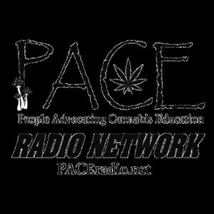 Your Evening Medicine Break