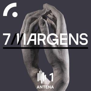 7 Margens