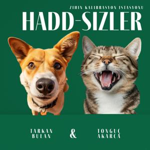 Hadd-Sizler / Zihin Kalibrasyon İstasyonu