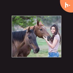 Horse Training Equipment