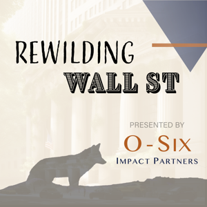 Rewilding Wall St: A Sustainable Investing Podcast