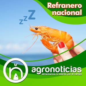 Refranero nacional
