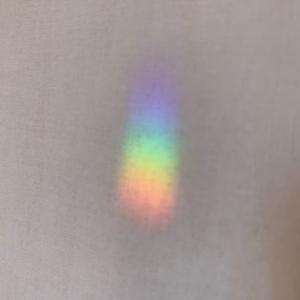 陽氣なお墓で会いましょう