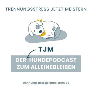 Trennungsstress Jetzt Meistern | Der Hundepodcast mit Tine, Jenny & Milo