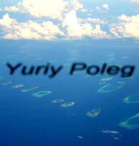 Yuriy Poleg