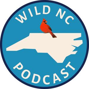 Wild NC