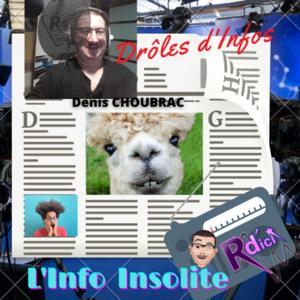 DRÔLES D'INFOS
