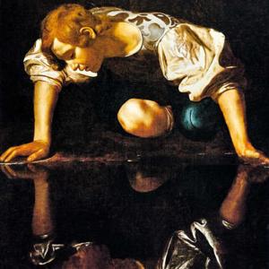 Narcissus