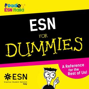 ESN for Dummies