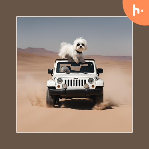 How to write a python script