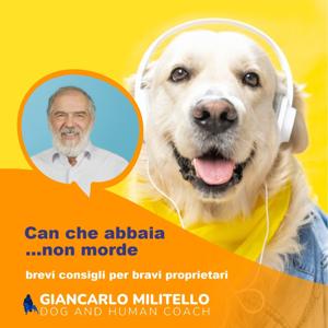 Can che abbaia non morde