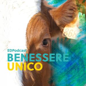 BENESSERE UNICO: One Welfare & Allevamento del Bovino da Latte