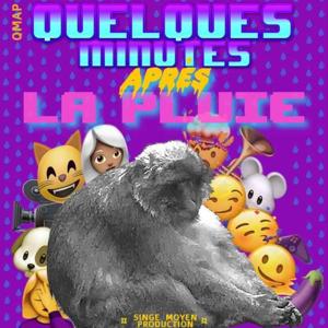QUELQUES MINUTES APRÈS LA PLUIE