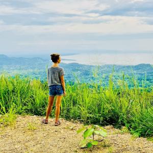 Konstellationen des Lebens