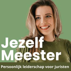 Jezelf Meester - persoonlijk leiderschap voor advocaten en juristen