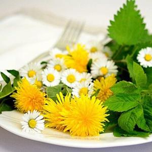 Cueillir, du potager à l'assiette
