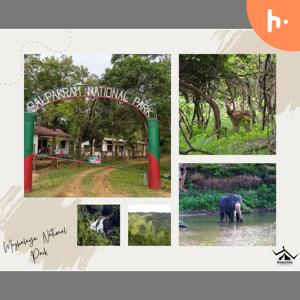 Uncover the Mysteries of Balpakram National Park, Meghalaya: Your Ultimate Travel Guide!