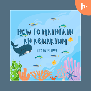 How to take care of a aquarium