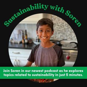 Sustainability with Soren by SustainableMe!