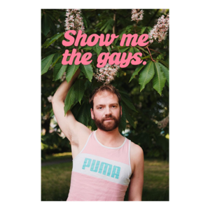Show Me The Gays