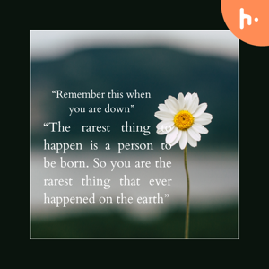 The logic legend show