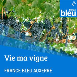 Vie ma vigne - France Bleu Auxerre