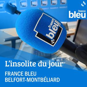 L'insolite du jour - FB Belfort-Montbéliard
