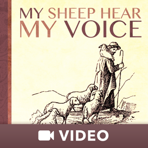 My Sheep Hear My Voice (Video)
