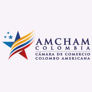 AmChamCast