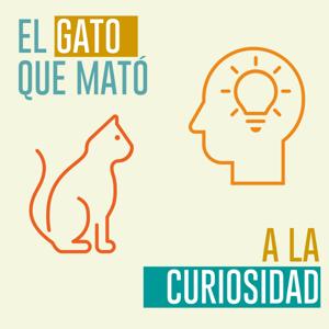 El gato que mató a la curiosidad