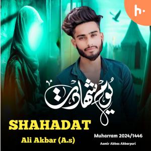Lash Akbar Teri | Noha | Azadari Roshan Garh | nohay 2024