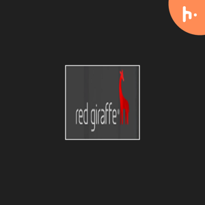 Red Giraffe Leading Web Design Agency in Milton Keynes