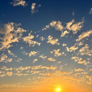 Grace Rahill's podcast