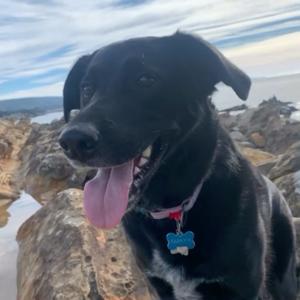 The Best Most Epic Muisc Poadcast Ever!!!!!!!