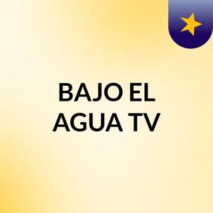 BAJO EL AGUA TV