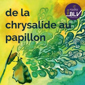De la chrysalide au papillon