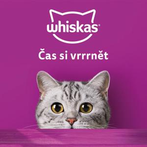 Čas si vrrrnět