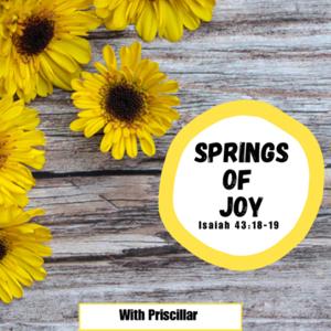 Springs of Joy
