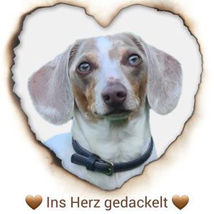 Ins Herz gedackelt