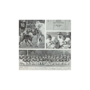 Daniel Morse Sports Stories