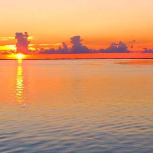 Gulfcoast Time