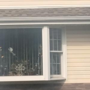 The Jesus is Lord Podcast