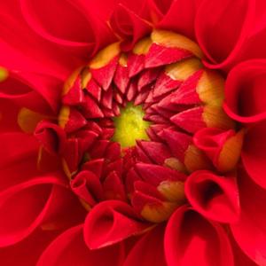 Omni Bit Confirmations